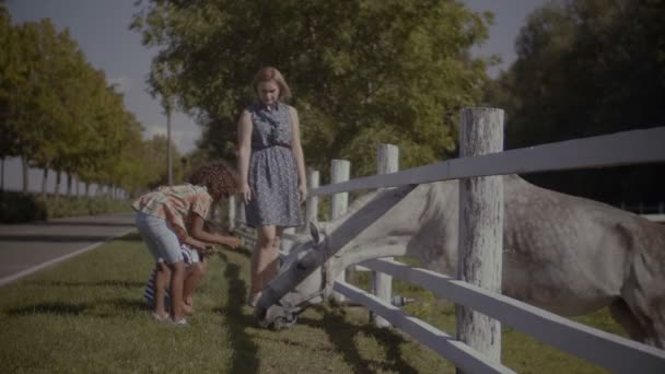 Meninas Raça Mista Feliz Mãe Caucasiana Acariciando Alimentando Cavalo Branco — Vídeo de Stock