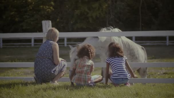 Skiftande barnfamilj som strök häst i gård — Stockvideo