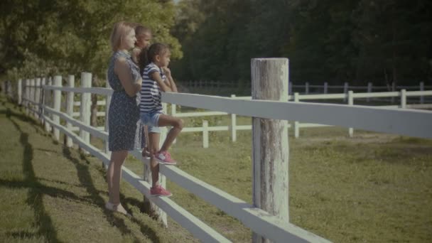 Familia multiétnica descansando en la naturaleza a lo largo de valla — Vídeo de stock