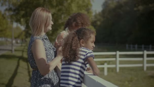 Χαρούμενη ποικιλόμορφη οικογένεια που ακουμπά στον φράχτη σε εξωτερικούς χώρους — Αρχείο Βίντεο