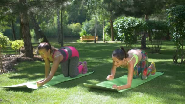Fitness Sportovní ženy dělají prkno cvičení v parku