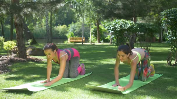 Стройные женщины делают упражнения на доске с одной ногой — стоковое видео