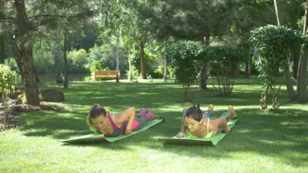 Женщины работают на ковриках для йоги в природе — стоковое видео