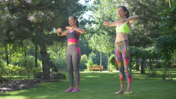Pilates eğitim Park yaparken mutlu sağlıklı kadınlar — Stok video