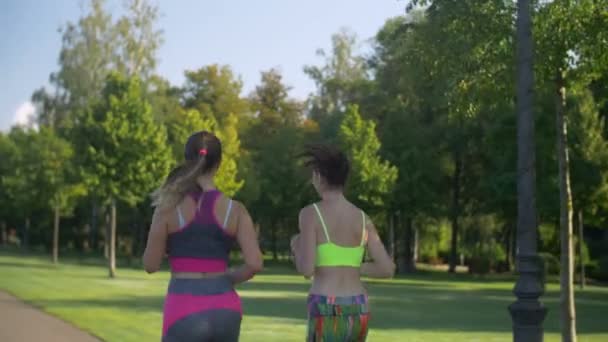 Schöne Läuferinnen joggen im Sommerpark — Stockvideo