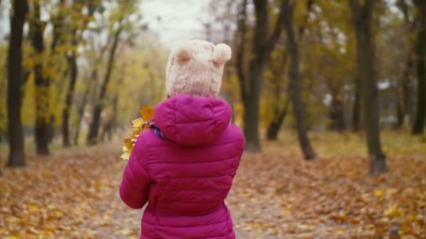 Niña con hojas de arce caminando en el parque de otoño — Vídeo de stock