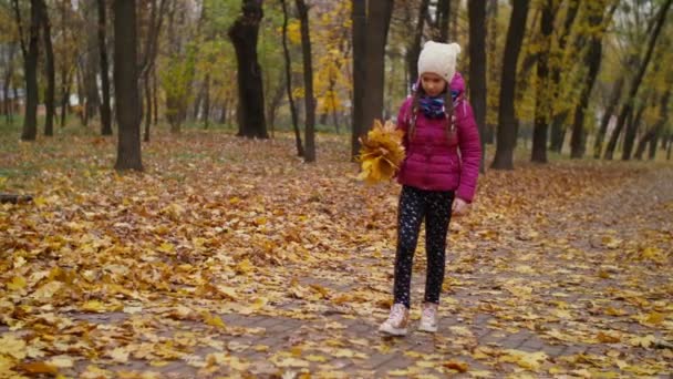 Enfant arrangeant un bouquet de feuilles d'érable tombées — Video