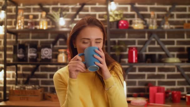 Portret van lachende jonge huisvrouw in de keuken — Stockvideo