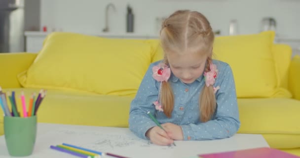 Criança encantadora criando imagem com caneta de feltro — Vídeo de Stock