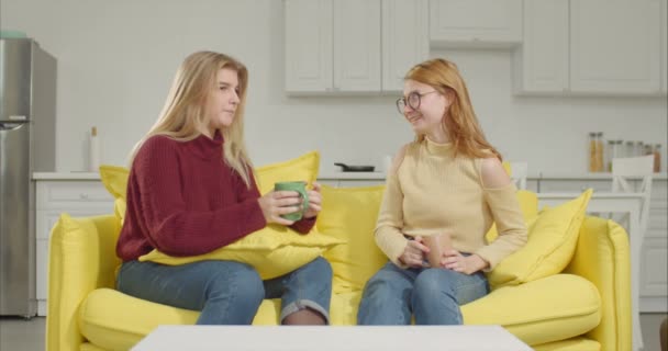 Dua wanita muda bergosip sambil minum kopi di sofa — Stok Video