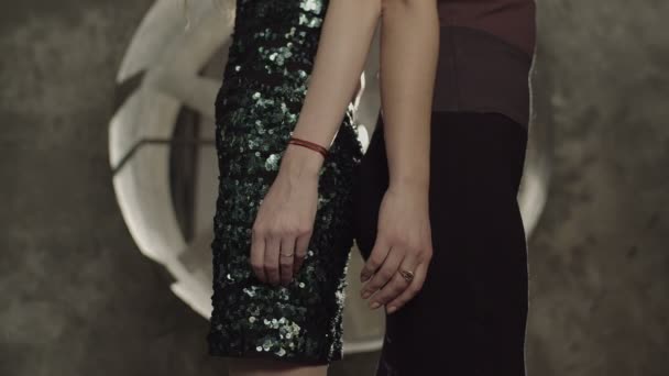 Apasionada pareja de lesbianas cogidas de la mano en interiores — Vídeo de stock