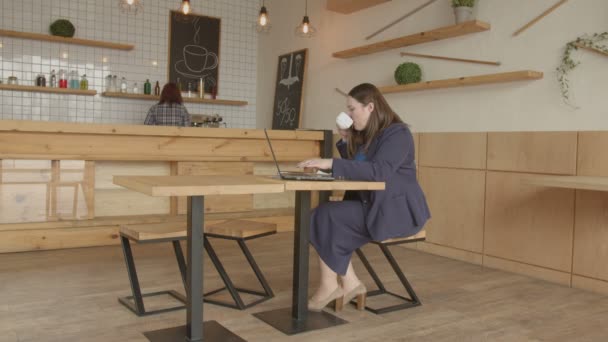 Mujer de negocios en red en línea en el ordenador portátil en la cafetería — Vídeo de stock