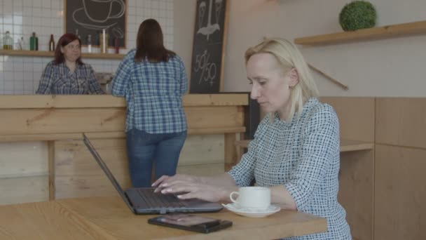 Blogger femminile pensierosa che lavora su computer portatile in caffè — Video Stock