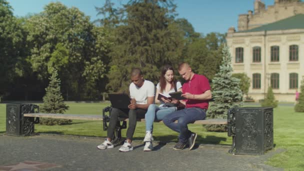 Jóvenes estudiantes estudiando sentados en el banco del parque — Vídeos de Stock