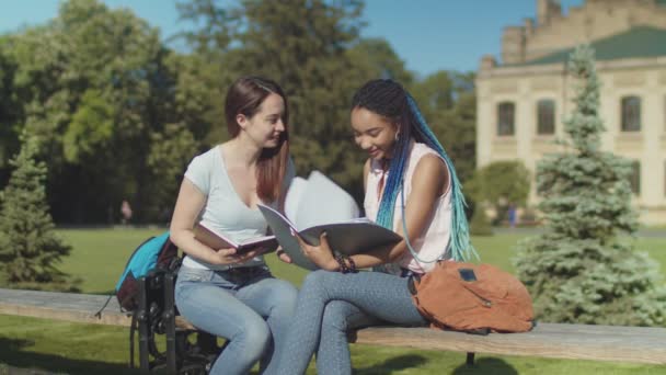 İki mutlu kız öğrenci bankta oturarak sohbet — Stok video