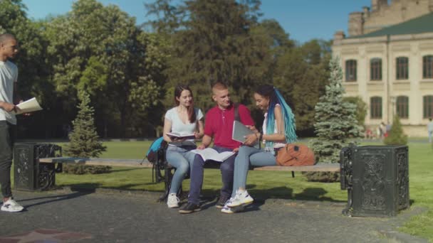 Studenten sprechen während des Studiums im Freien — Stockvideo