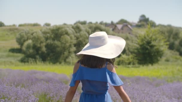 Mujer sonriente gestos sígueme en el campo de lavanda — Vídeo de stock