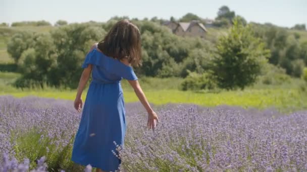 Elegante Frau berührt sanft blühenden Lavendel — Stockvideo