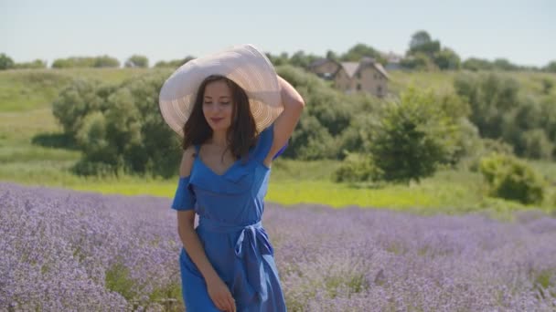 Elegante mujer encantadora caminando en flores de lavanda — Vídeo de stock