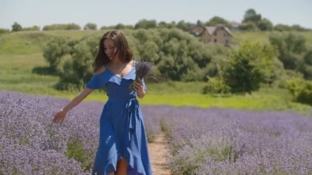 Fêmea cheirando flores de lavanda perfumadas frescas — Vídeo de Stock