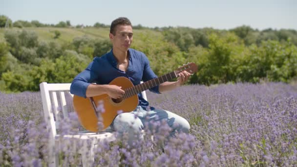 Стоковые Видео Lavender Field Artist ⬇ Скачать Футажи Lavender.