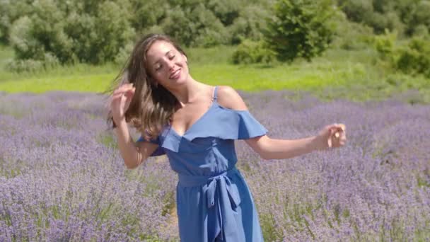 Portrait of elegant woman in lavender field — Stock Video