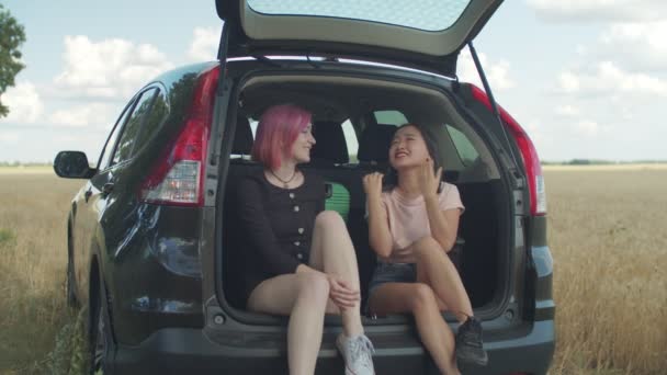 Разнообразные женщины наслаждаются отдыхом во время дорожного путешествия — стоковое видео