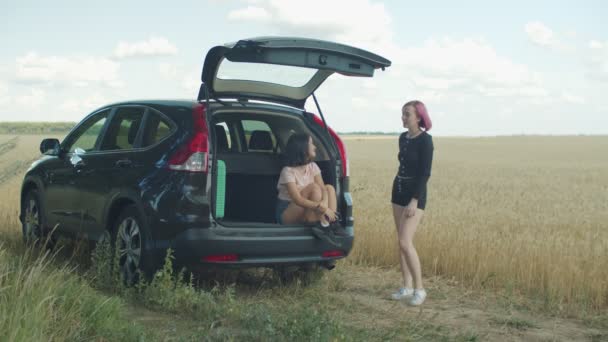 Despreocupado diversas mulheres conversando durante a viagem de carro — Vídeo de Stock