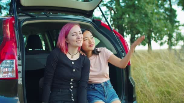 Feliz diversa hembras admirando la vista en viaje en coche — Vídeos de Stock