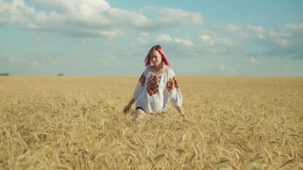 Elegante vrouw wandelen in tarwe veld bij zonsondergang — Stockvideo