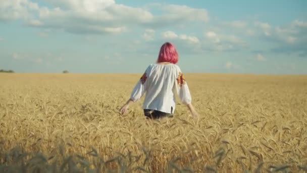 Gün batımında buğday tarlasında koşan neşeli kadın — Stok video