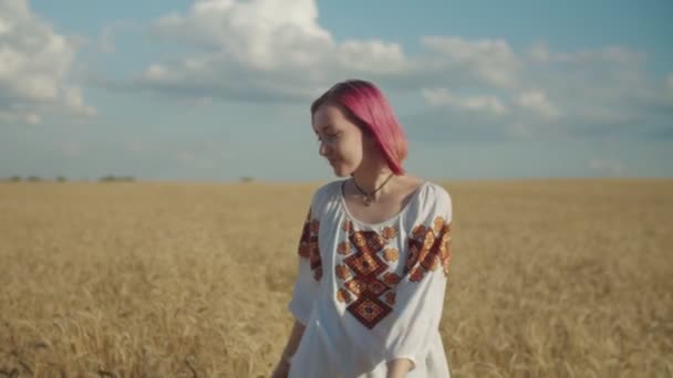 Mujer bonita disfrutando de la naturaleza de verano al atardecer — Vídeos de Stock