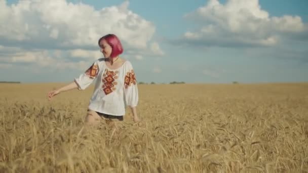 Donna graziosa che si diverte nel campo di grano dorato — Video Stock