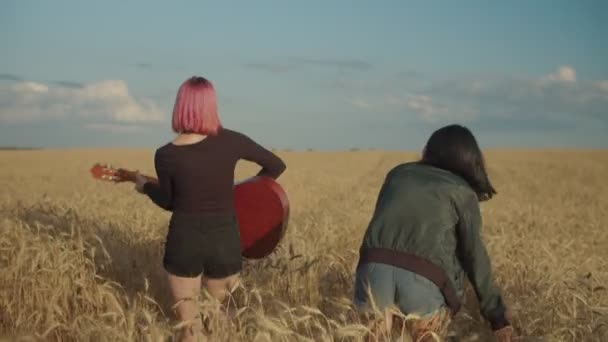Bezstarostné vícerasové samice relaxační v pšeničném poli — Stock video