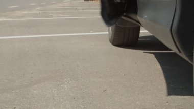 Park halindeki arabadan çıkan şık ayakkabılı işadamı