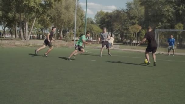 Wesołe Piłkarze świętują cel na boisku — Wideo stockowe