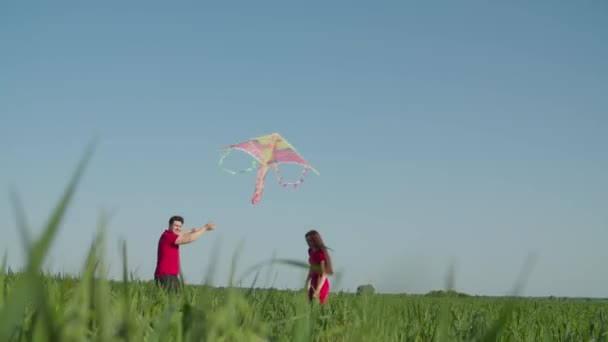 Прекрасные родители и ребенок веселятся на пшеничном поле — стоковое видео