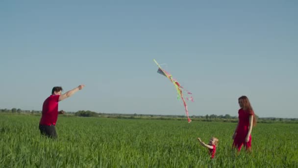 Familia alegre volando colorida cometa en el campo — Vídeos de Stock