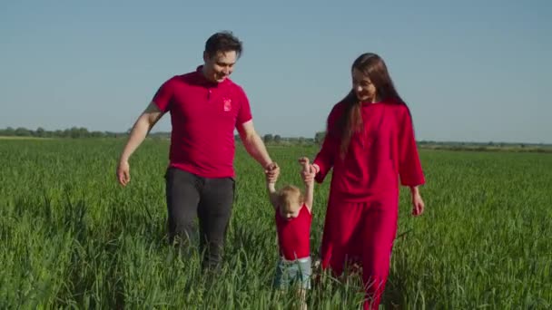 Buğday tarlasında gevşeyen küçük kızıyla neşeli bir aile. — Stok video