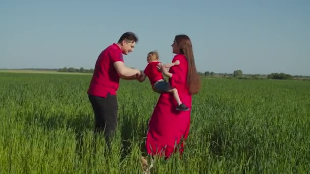Сім'я, що ходить у полі, піднімаючи маленьку дівчинку — стокове відео