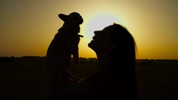 Silhueta de ligação mulher com lapdog ao pôr do sol — Vídeo de Stock