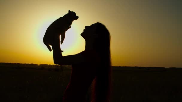 Caring female dog owner holding lapdog at sunset — Stock Video