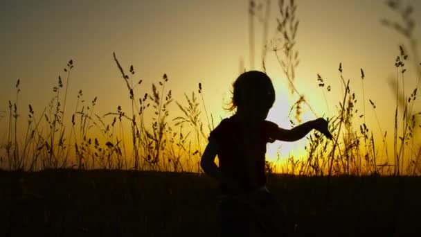Alkonyatkor a réten sétáló kislány sziluettje — Stock videók