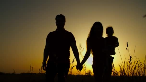 Keluarga dengan bayi perempuan berjalan di padang rumput di senja — Stok Video