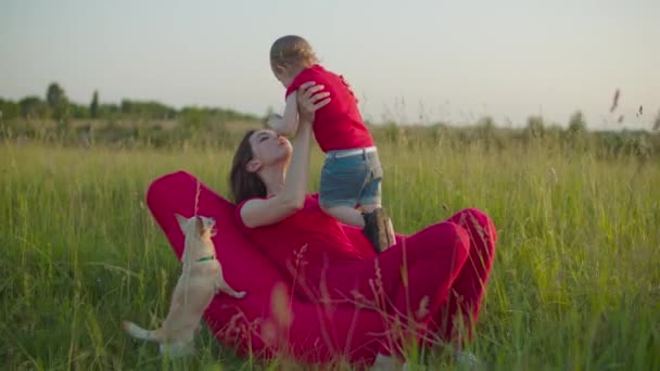 Mère aimante avec enfant se reposant dans la nature estivale — Video