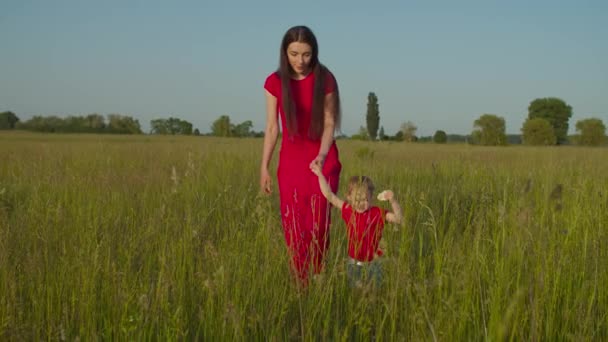 Мама з маленькою дівчинкою, що гуляє на лузі на заході сонця — стокове відео