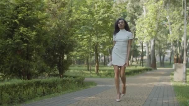 Elegante hembra en zapatos de aguja paseando al aire libre — Vídeo de stock