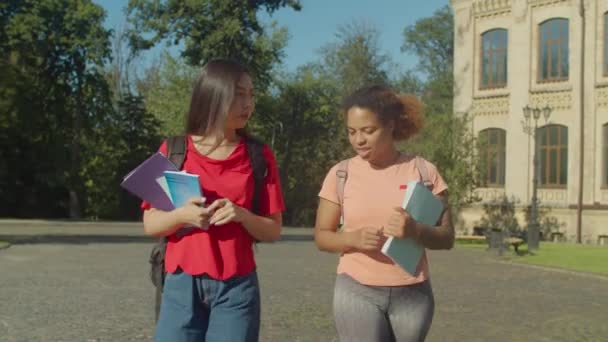 Étudiantes multiethniques marchant sur le campus — Video