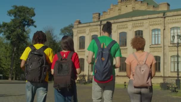 Vue arrière de divers étudiants marchant après la leçon — Video