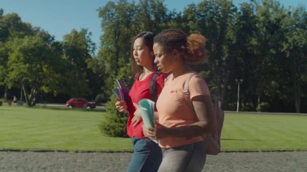 Étudiantes mignonnes allant à l'université — Video